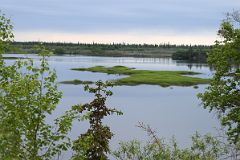 04G Small Grassy Island In A Lake Just Before Fort McPherson Northwest Territories On Day Tour From Inuvik To Arctic Circle.jpg